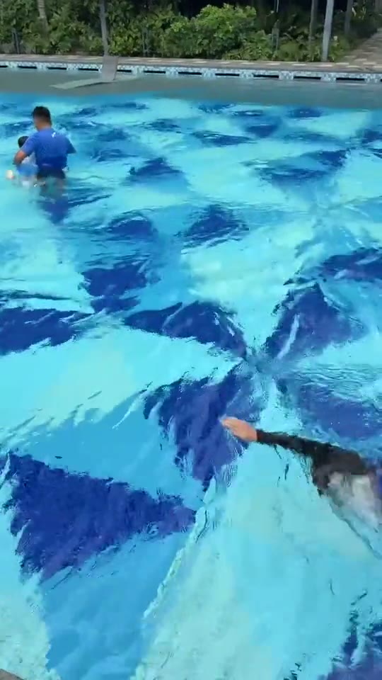 Penguin coaches guiding practical swim teaching in a Singapore pool